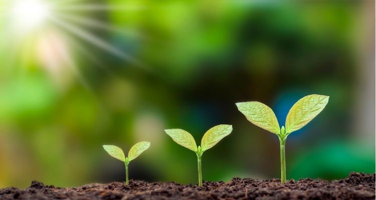 디지털 디톡스가 가져오는 변화