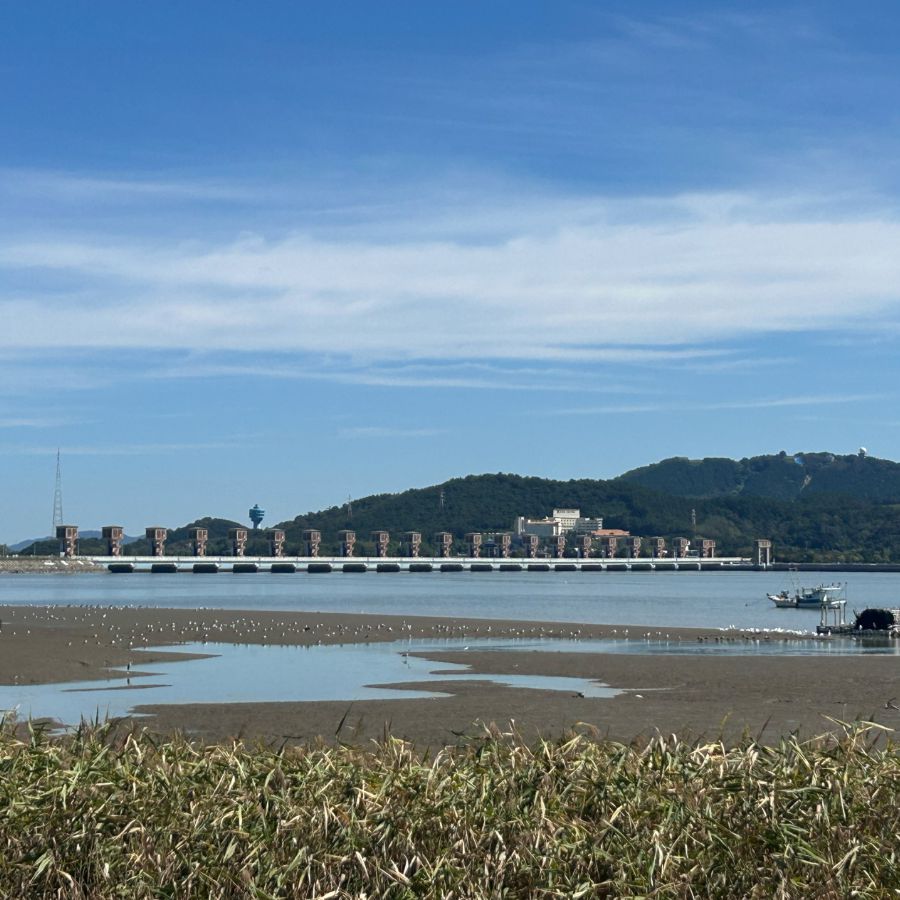 금강하구둑
