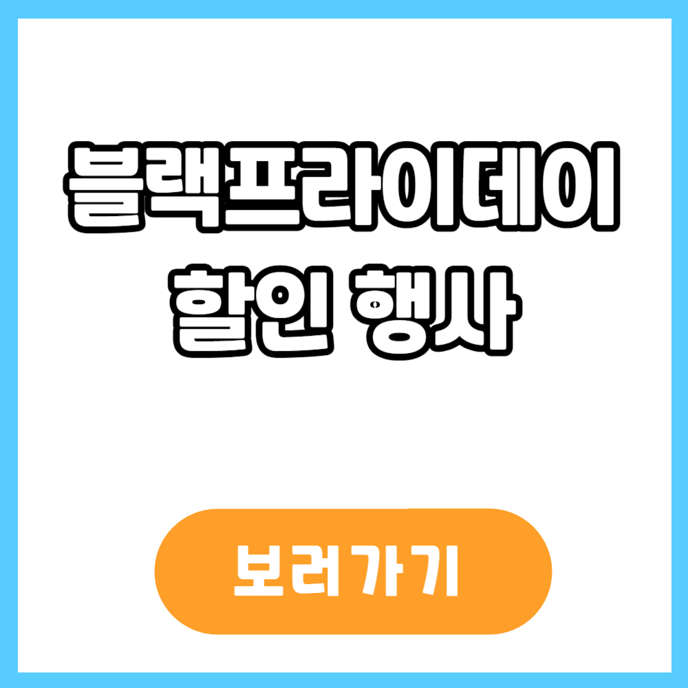 블랙프라이데이 세일기간