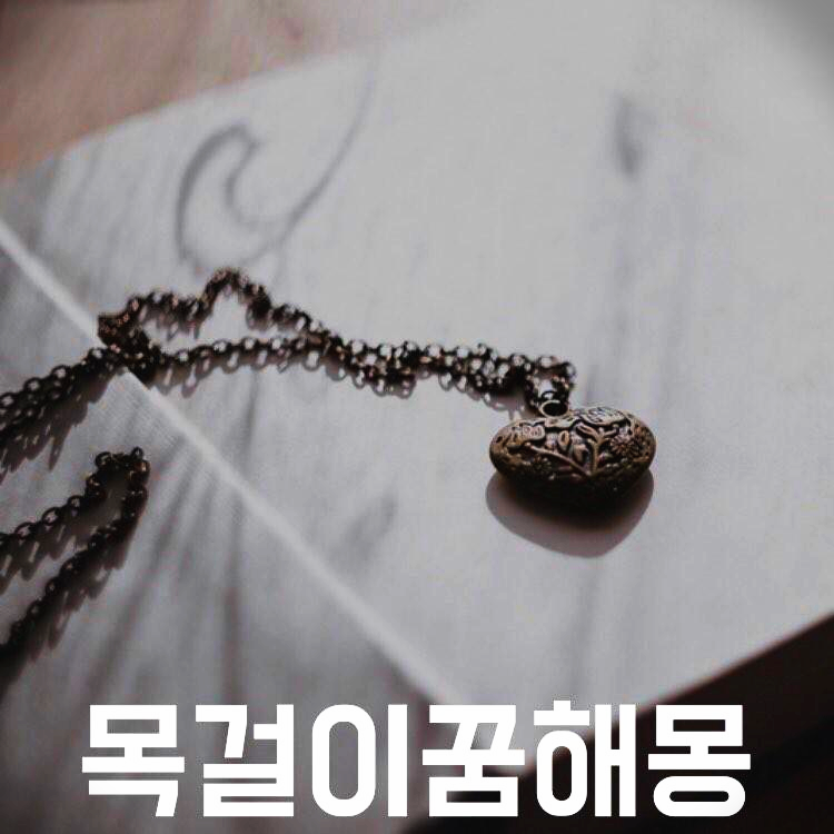 목걸이 꿈