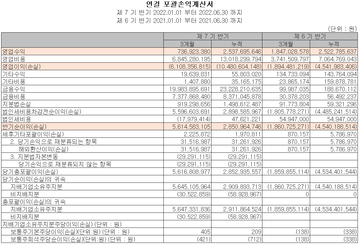 알체라 - 손익계산서