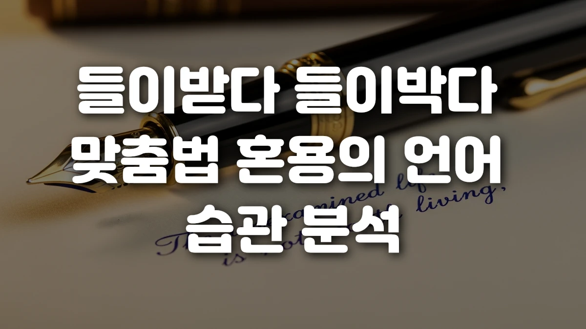 들이받다 들이박다 맞춤법 혼용의 언어 습관 분석