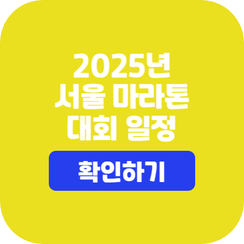 서울마라톤대회