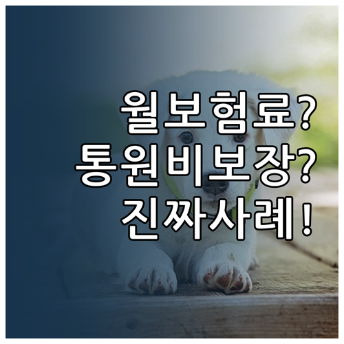 강아지 보험료 얼마나 내나요? 통원비..