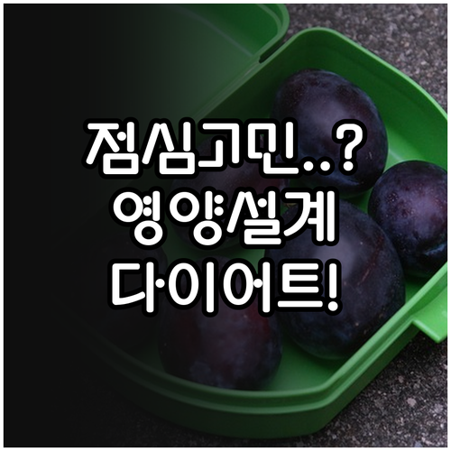 직장인 점심 메뉴 고민 해결 다이어트..