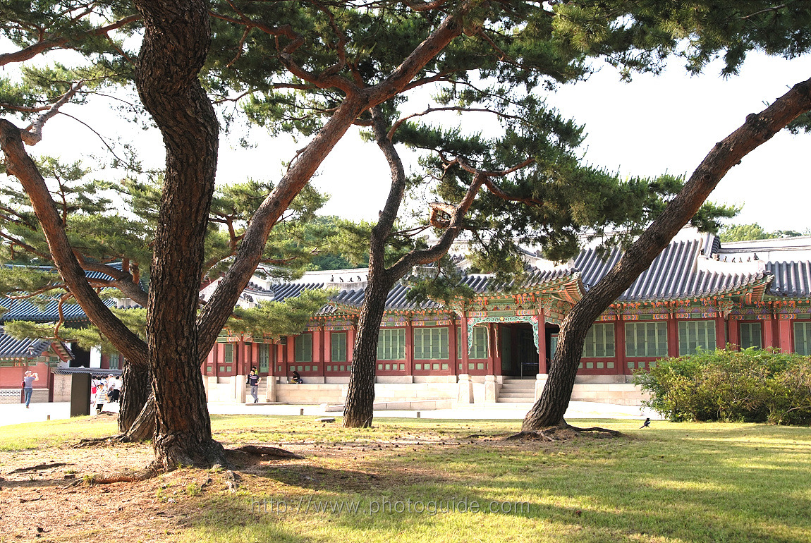 창덕궁 Changdeokgung Palace