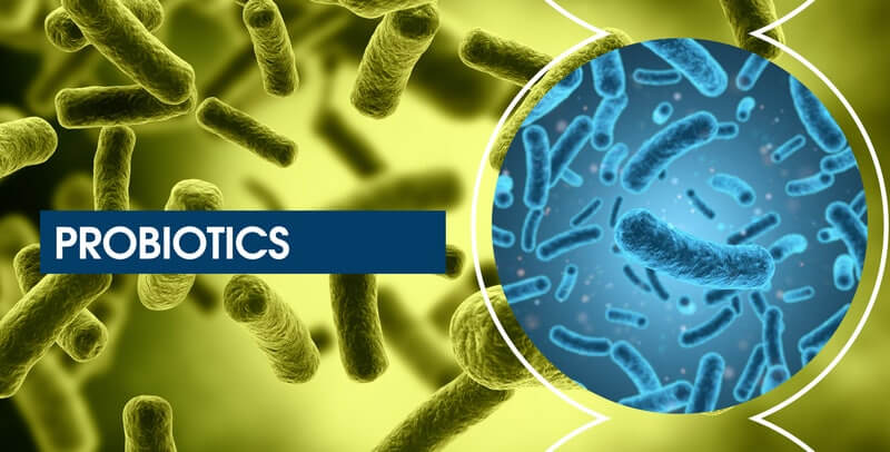 방광염에 좋은 음식