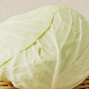 5월-제철-채소-양배추