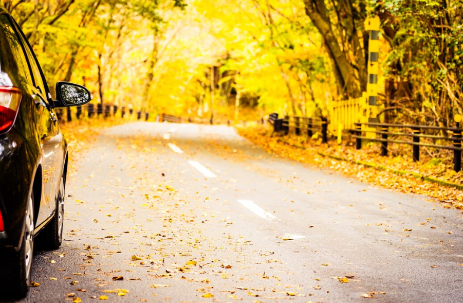 강원도 단풍 명소 방문 시 주의사항