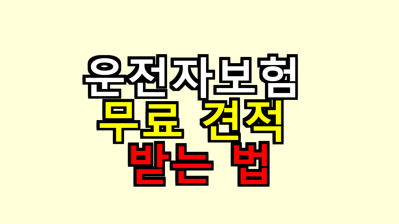 운전자보험 무료 견적 받는 법 보험료 아끼는 현실 꿀팁