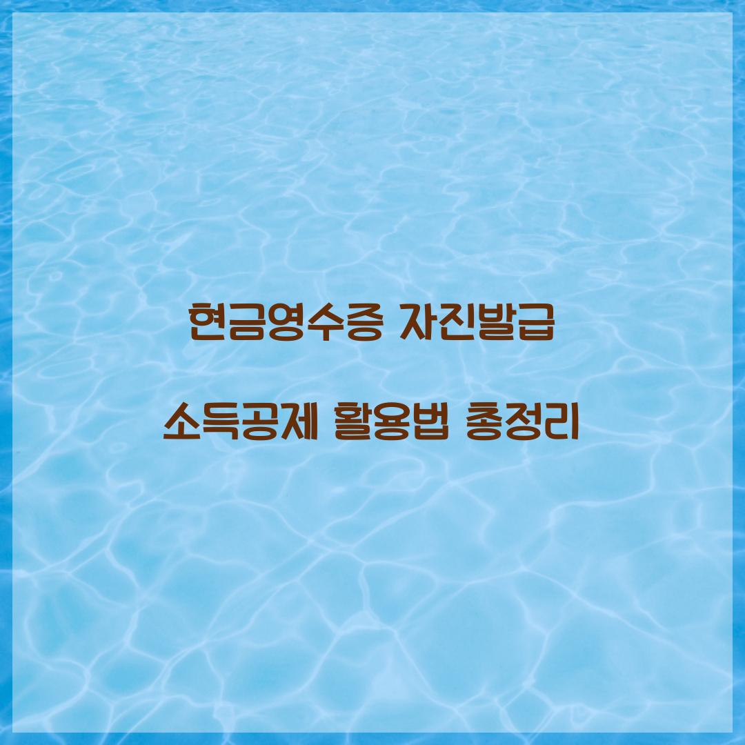 현금영수증 자진발급 소득공제