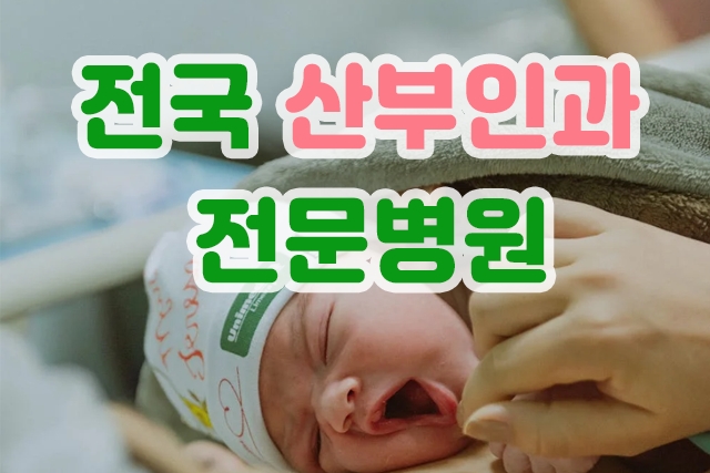 산부인과-전문병원