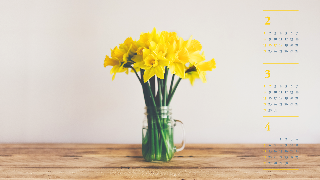 01 탁자 위 노란색 수선화 B - 2026년3월 달력배경화면