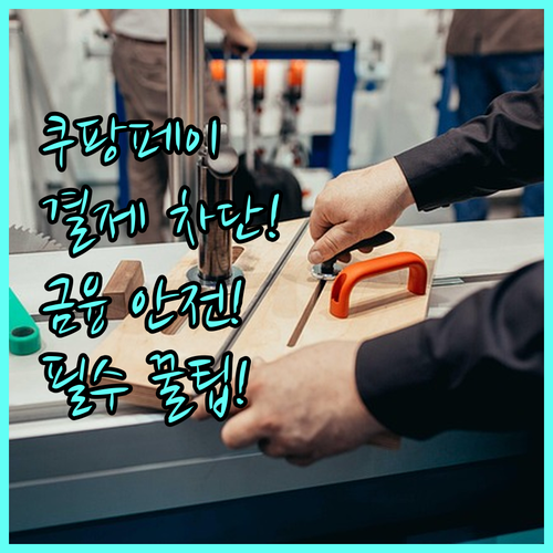 쿠팡페이 결제 차단 설정 방법 및 안..
