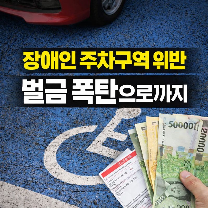 장애인 전용 주차 구역의 휠체어 표시가 뚜렷한 빈 주차 공간