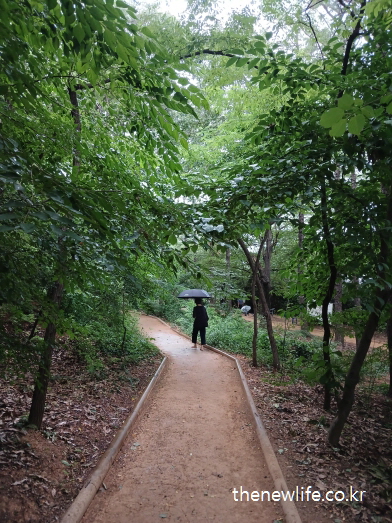 비 오는 날 우산을 들고 흙길을 걷는 사람, 서울 맨발 걷기 좋은 곳