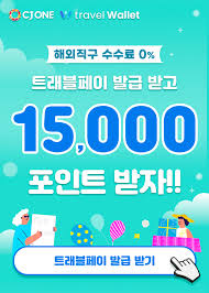 트래블월렛 카드