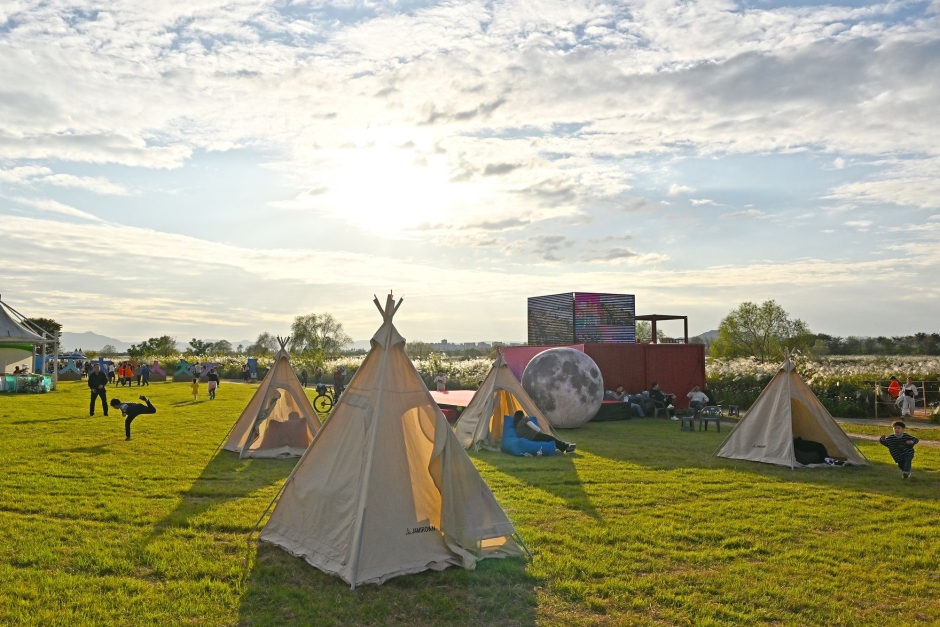 광주서창 억새축제
