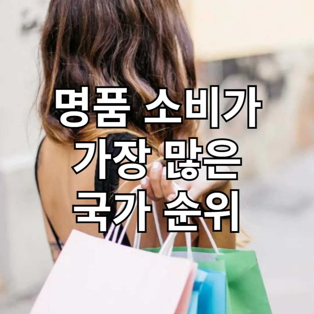 명품 소비가 가장 많은 나라 TOP 5