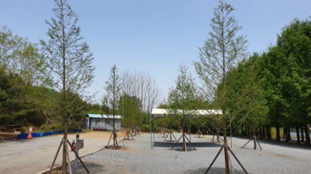 제천청풍오토캠핑장