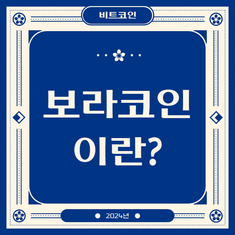 보라코인이란