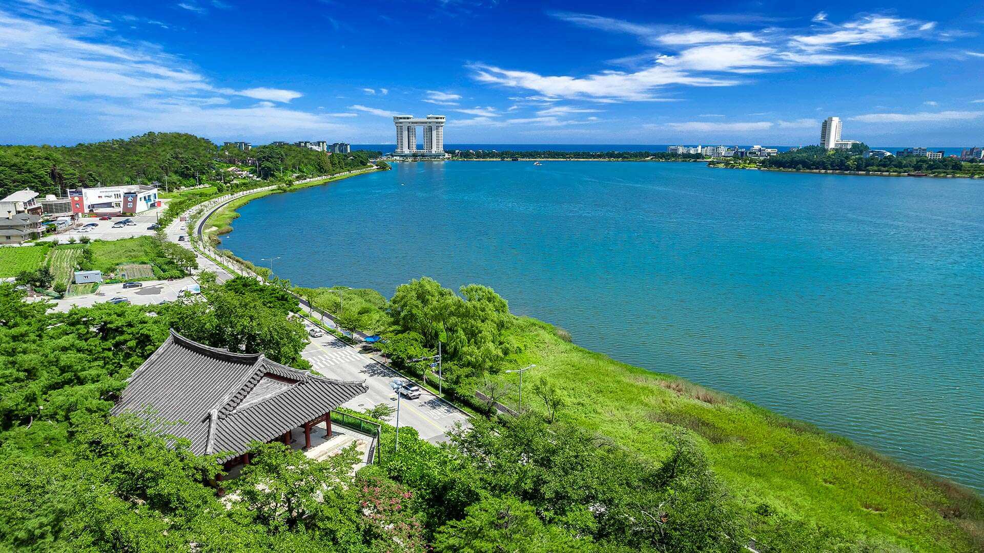 강릉 사근진 해변 유채꽃밭