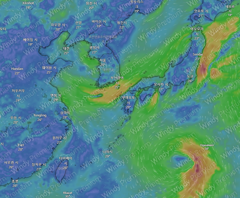 2024년 11호 태풍 야기