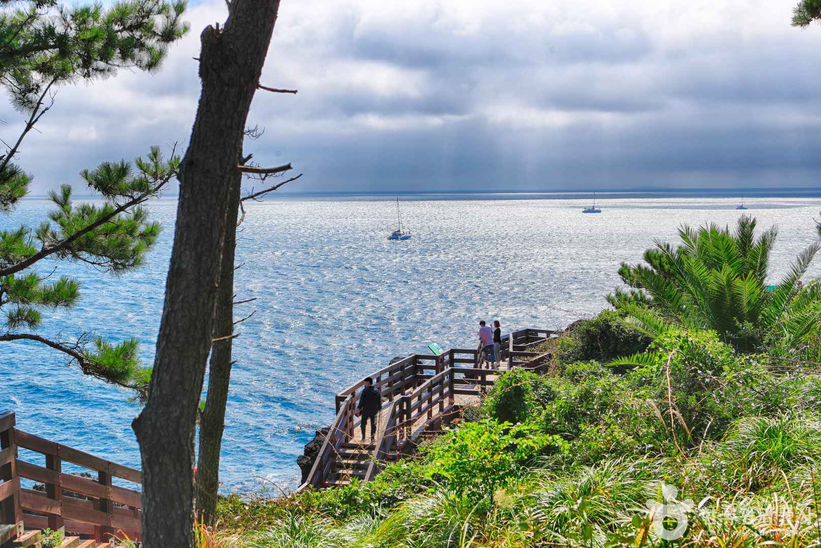 중문 대포주상절리대