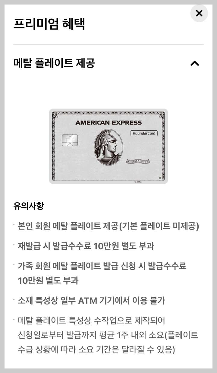 아멕스 플래티늄 메탈 플레이트 제공 내용 캡쳐