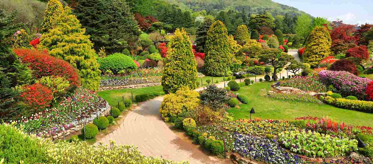 2025 아침고요 봄꽃페스타 포스터