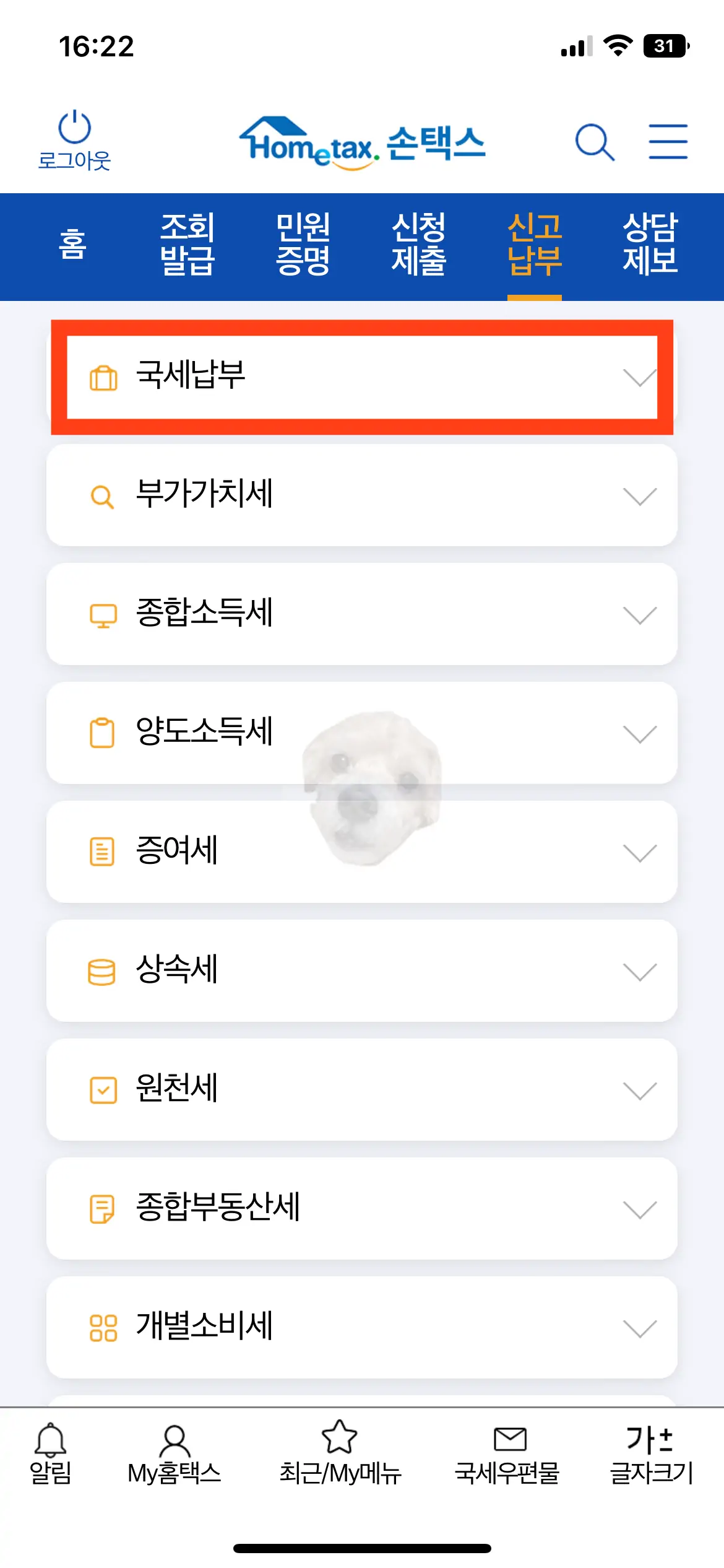 국세납부 항목 사진