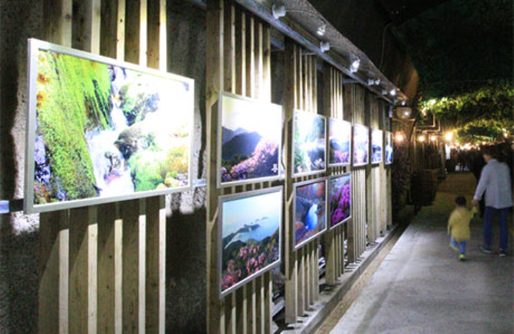 무주 머루와인동굴