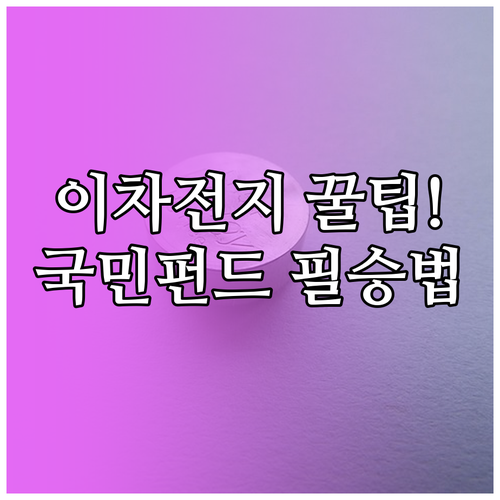 성공적인 이차전지 투자를 위한 국민성..