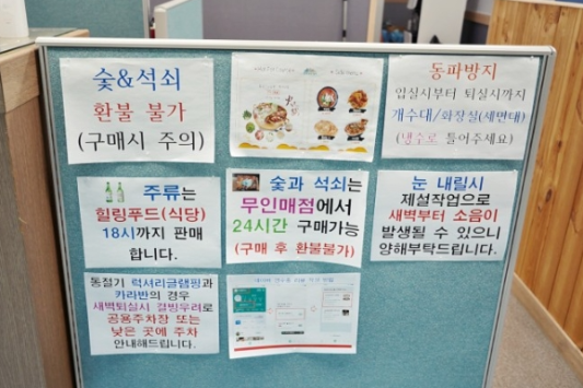 파주 동화힐링캠핑장 카라반 글램핑