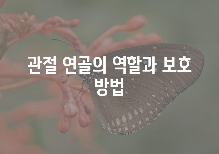 샘플 (51)