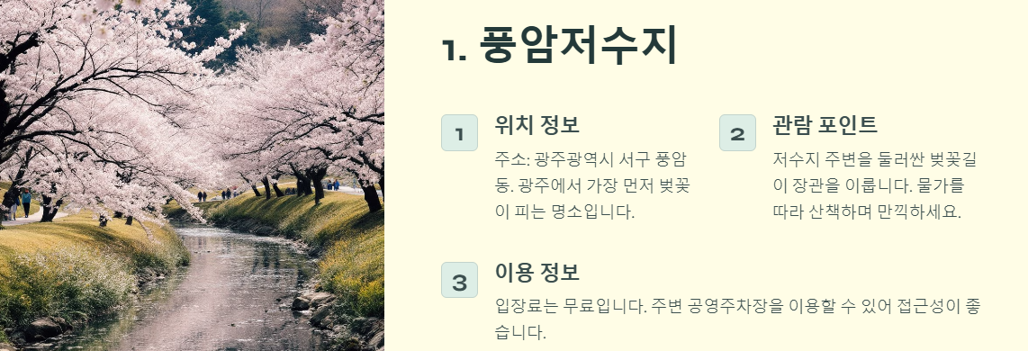 광주의 벚꽃 명소 6곳 소개: 풍암저수지, 광주천, 쌍암공원, 운림동, 광주공원, 우치공원