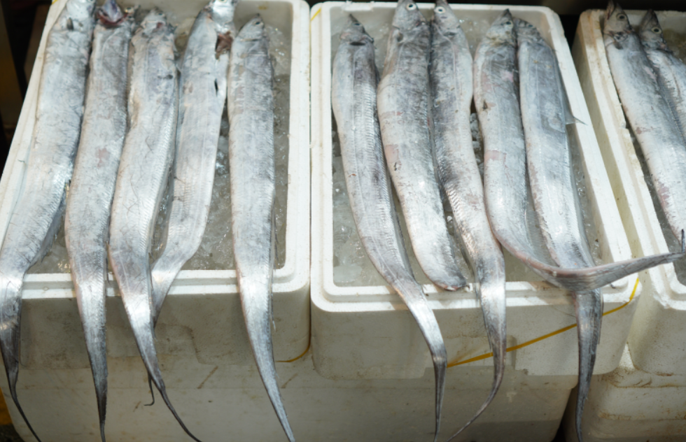 제주도의 &lsquo;착한가격업소&rsquo;와 협력, 관광산업의 새로운 패러다임