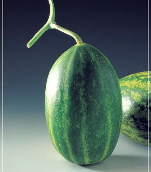 참외 효능, 부작용, 보관법 및 칼로리 총정리