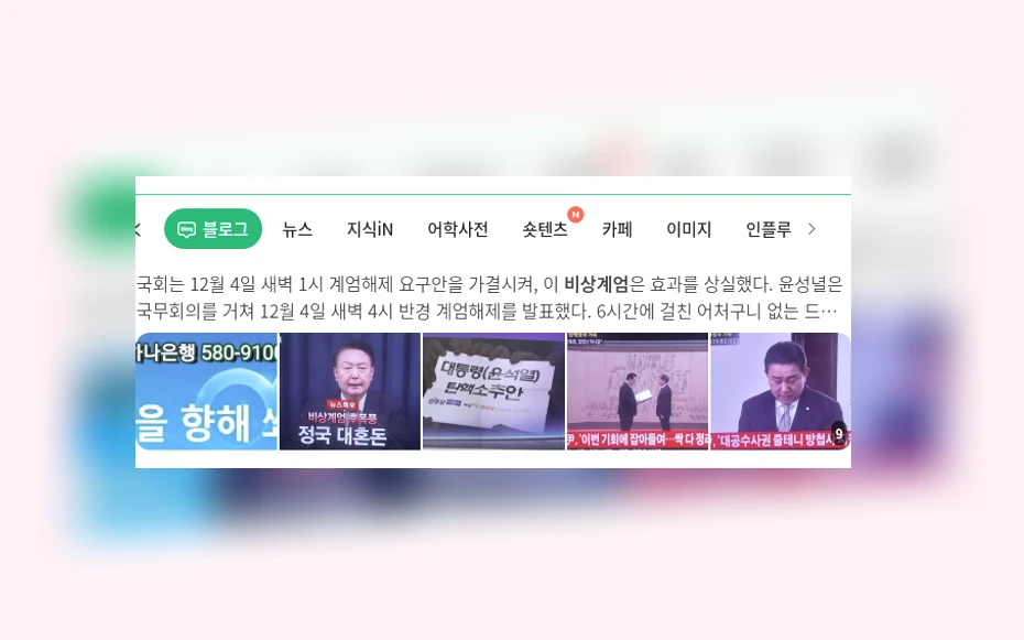 비상계엄_1_subsection