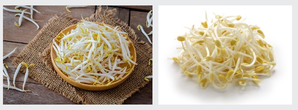 콩나물비빔밥