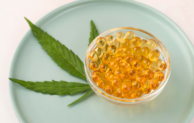 하이퍼셀 대마종자유 효능 먹는법 가격 구매처