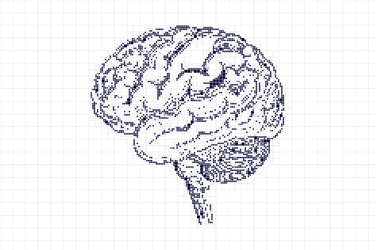 정보 과부하 시대, 디지털 미니멀리즘으로 뇌를 쉬게 하자