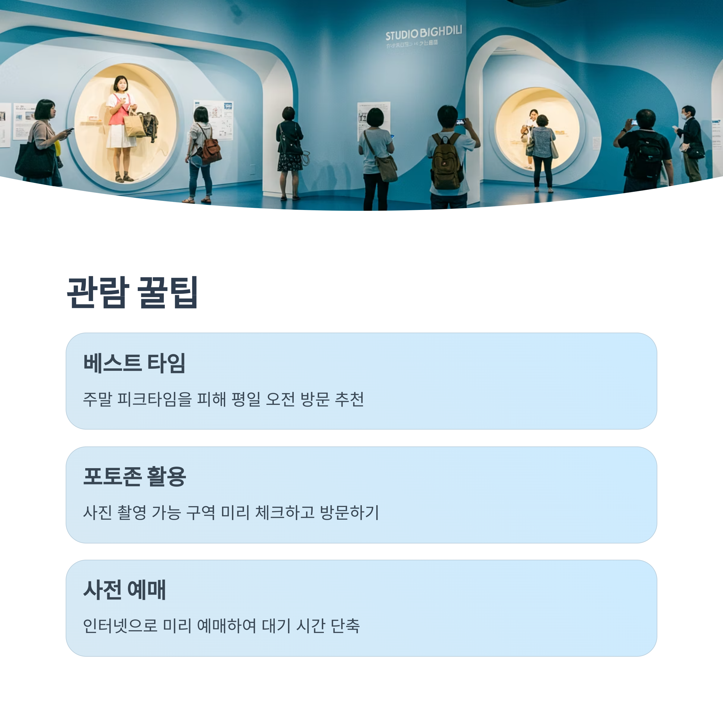 추천 관람 시간대 및 관람 팁