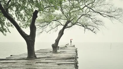 2024년 올해 장마기간 대비 예측