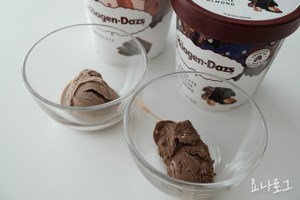 하겐다즈 하겐다즈초콜릿 초코아이스크림 초코디저트 초콜릿디저트 다크초코 다크초콜릿 초콜릿 다크초코아이스크림 다크초콜릿가나슈앤아몬드 내돈내산 내돈내산리뷰 아이스크림리뷰 아이스크림추천 하겐다즈추천 간식 간식추천