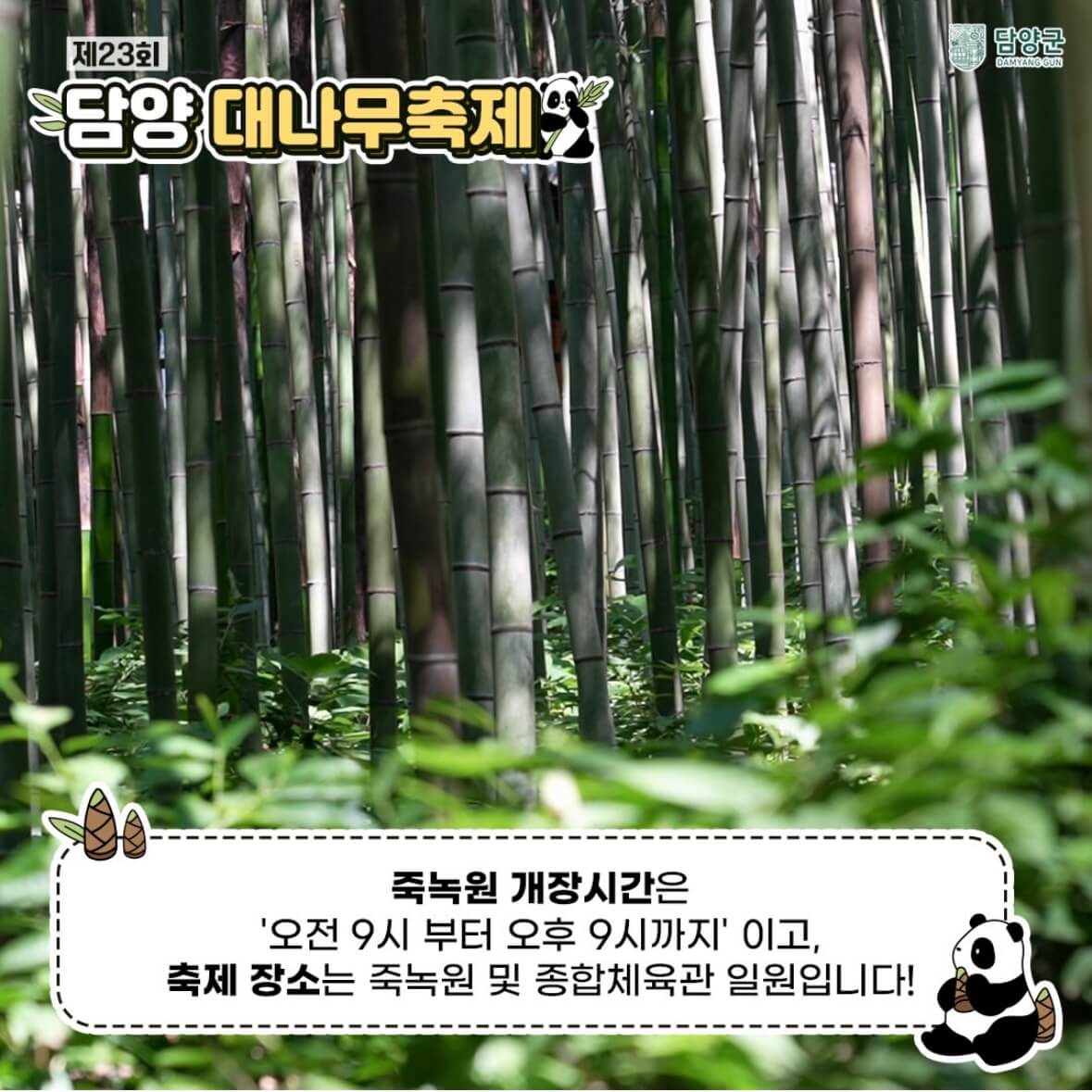 담양 대나무축제