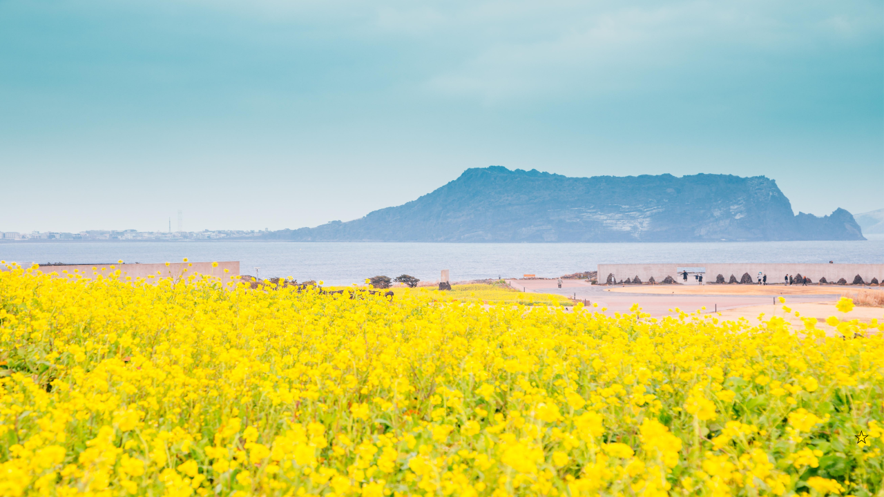 4월 여행 놓치면 후회할 곳(부산,제주)