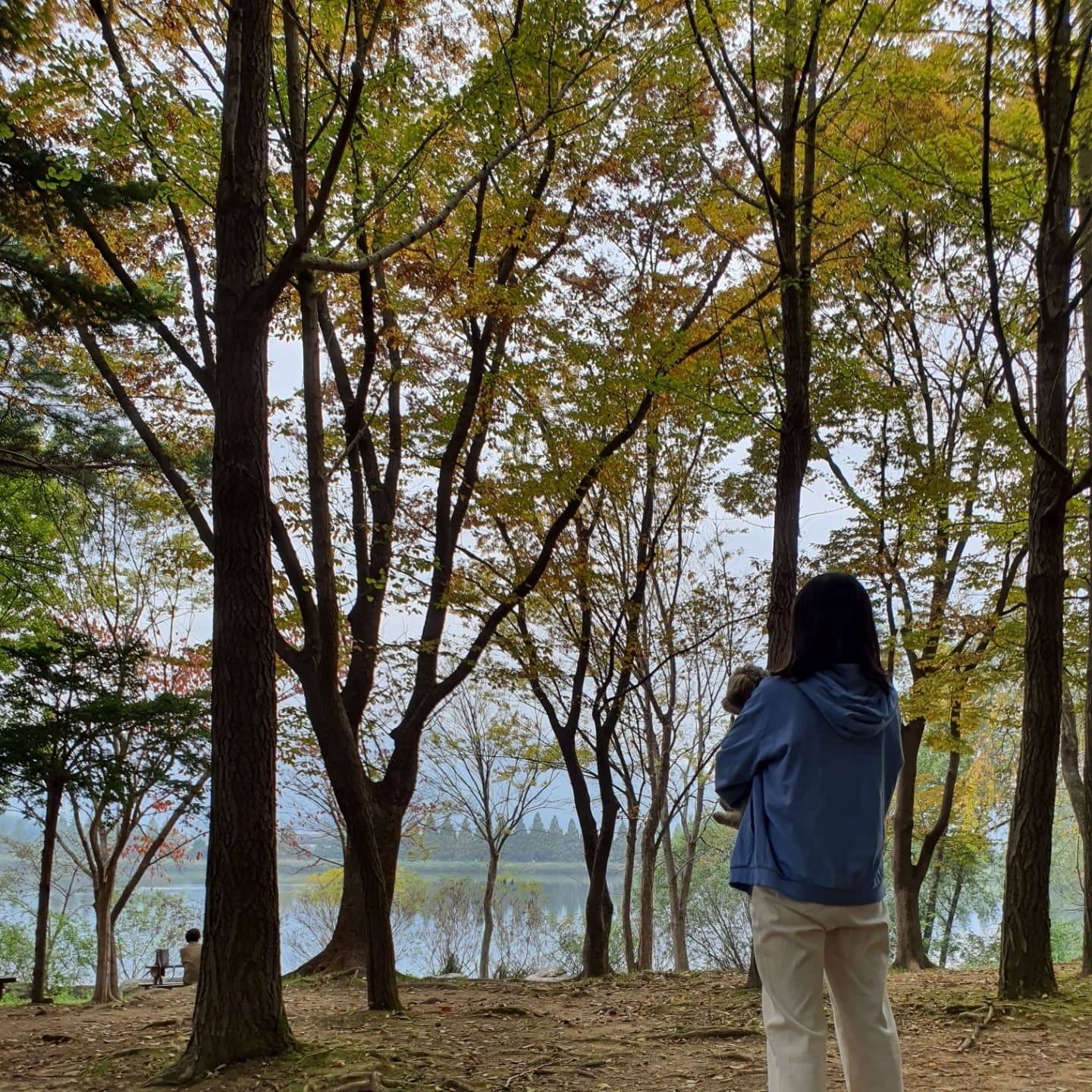 토리와 토리언니