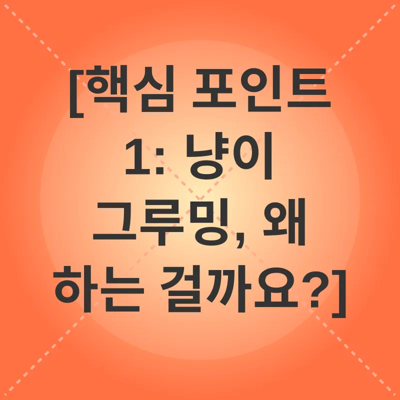 고양이 그루밍_1