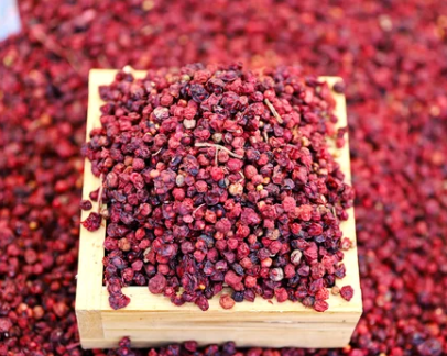 오미자온효능부족